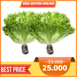 Combo 2 gói xà lách thuỷ tinh thuỷ canh 200gr (2 Gói)